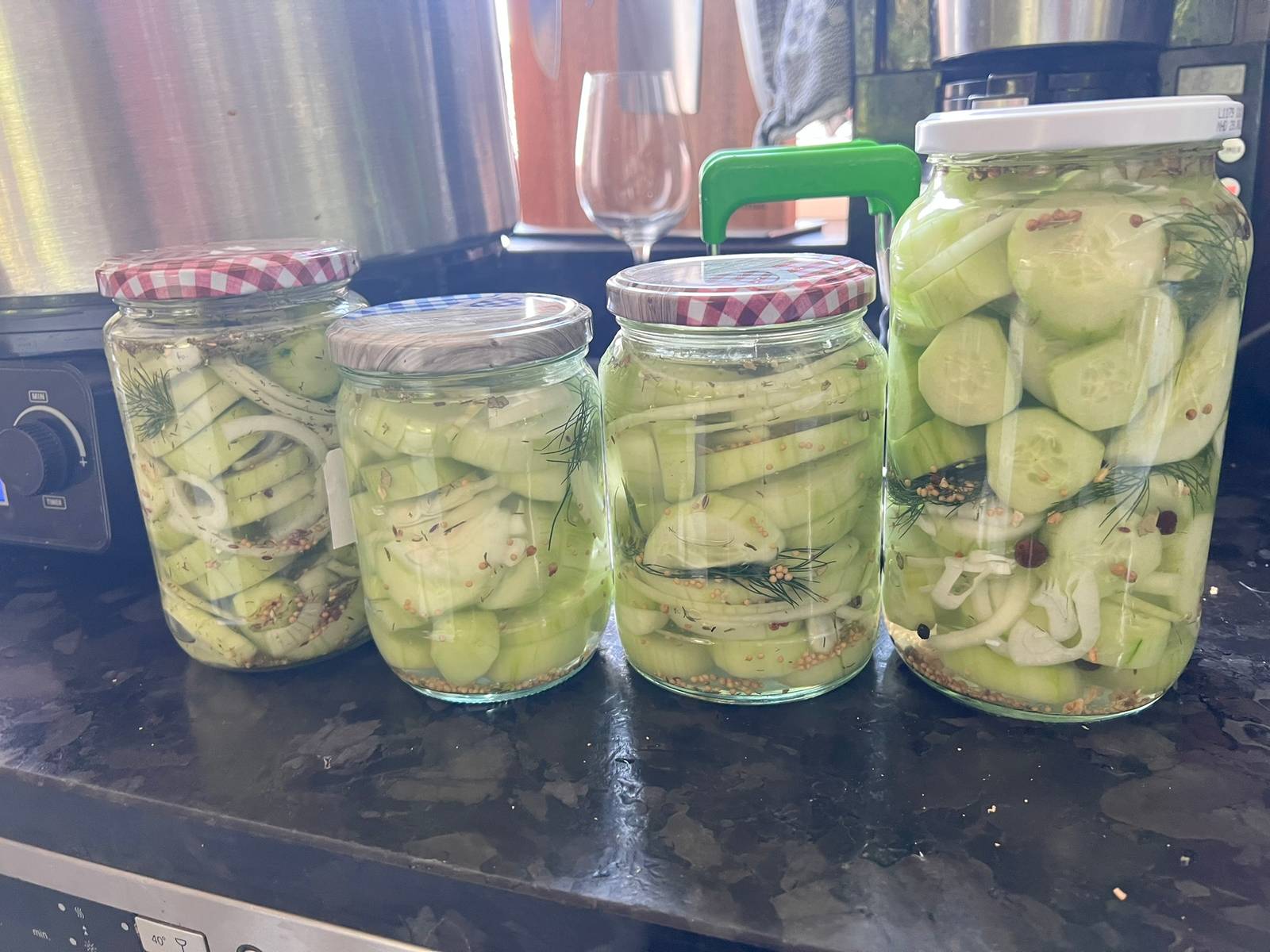 Eingelegte Sauergurken