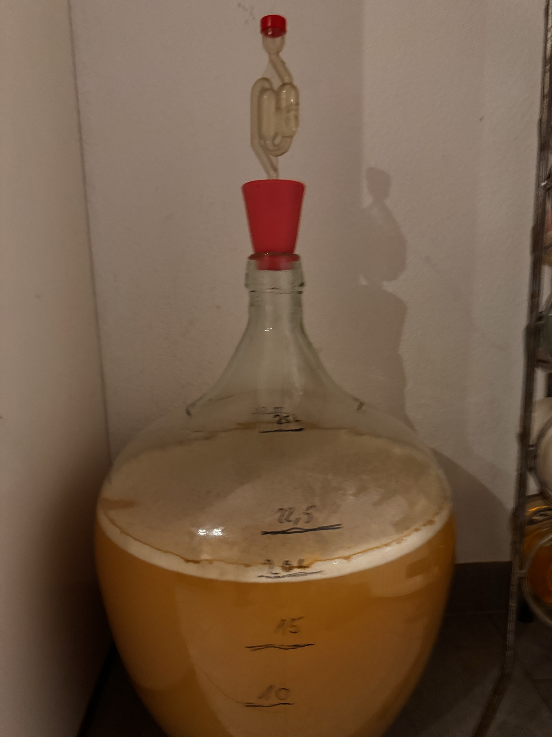 Mjölnir Honey Mead (22.5 L Batch)