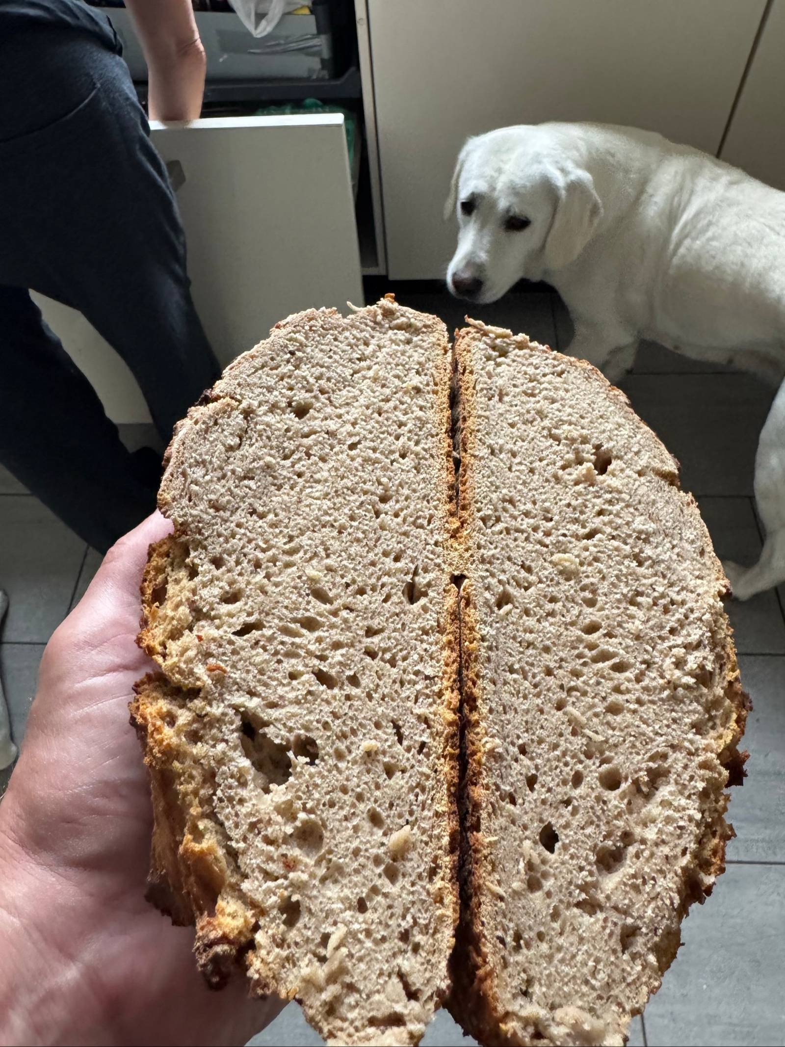 Brot lagern & frisch halten