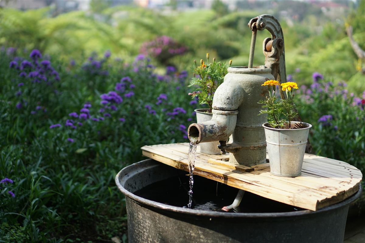 Brunnen anlegen: Wasser aus dem eigenen Garten