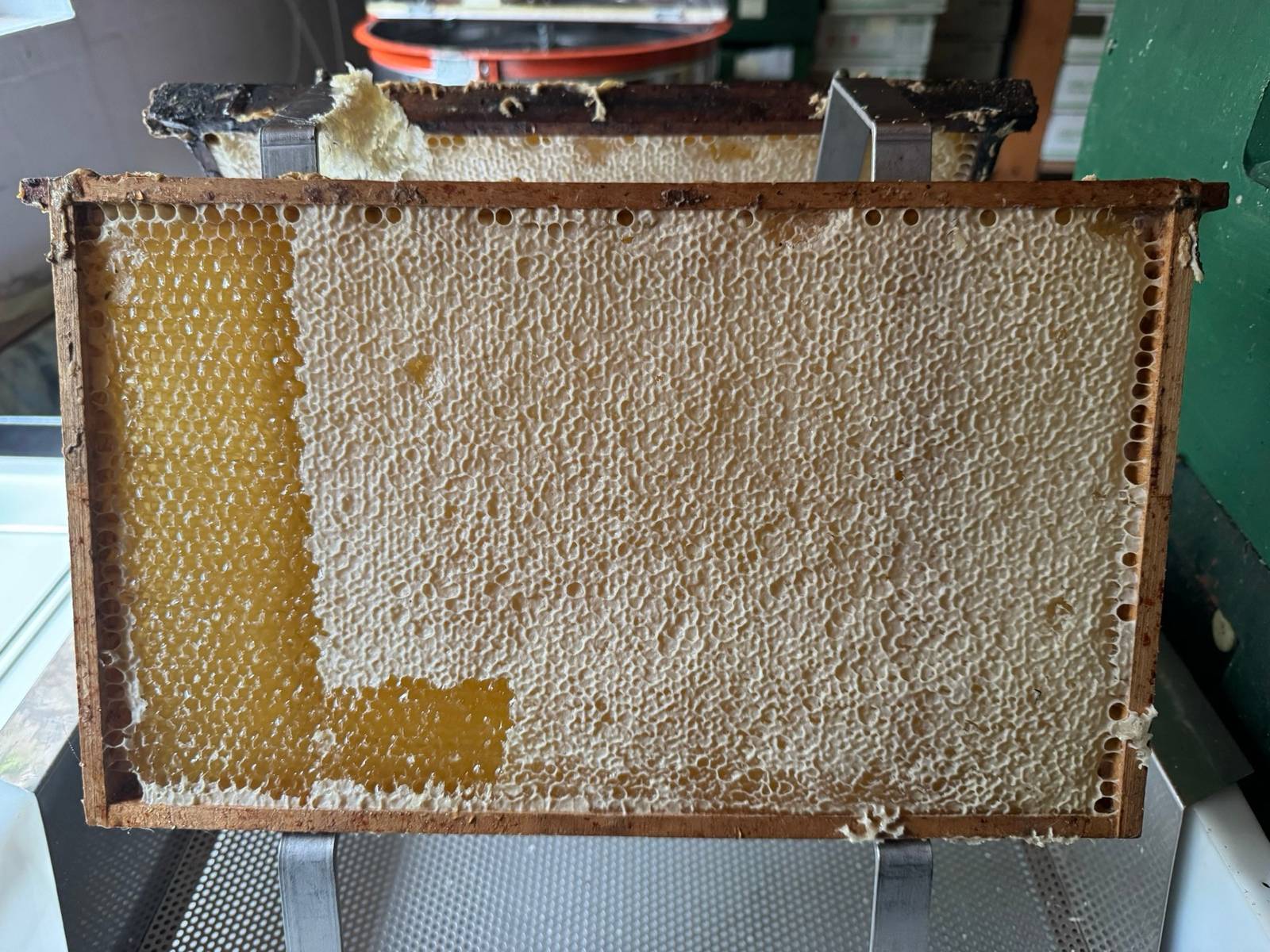 Die erste Honigernte: Schritt für Schritt