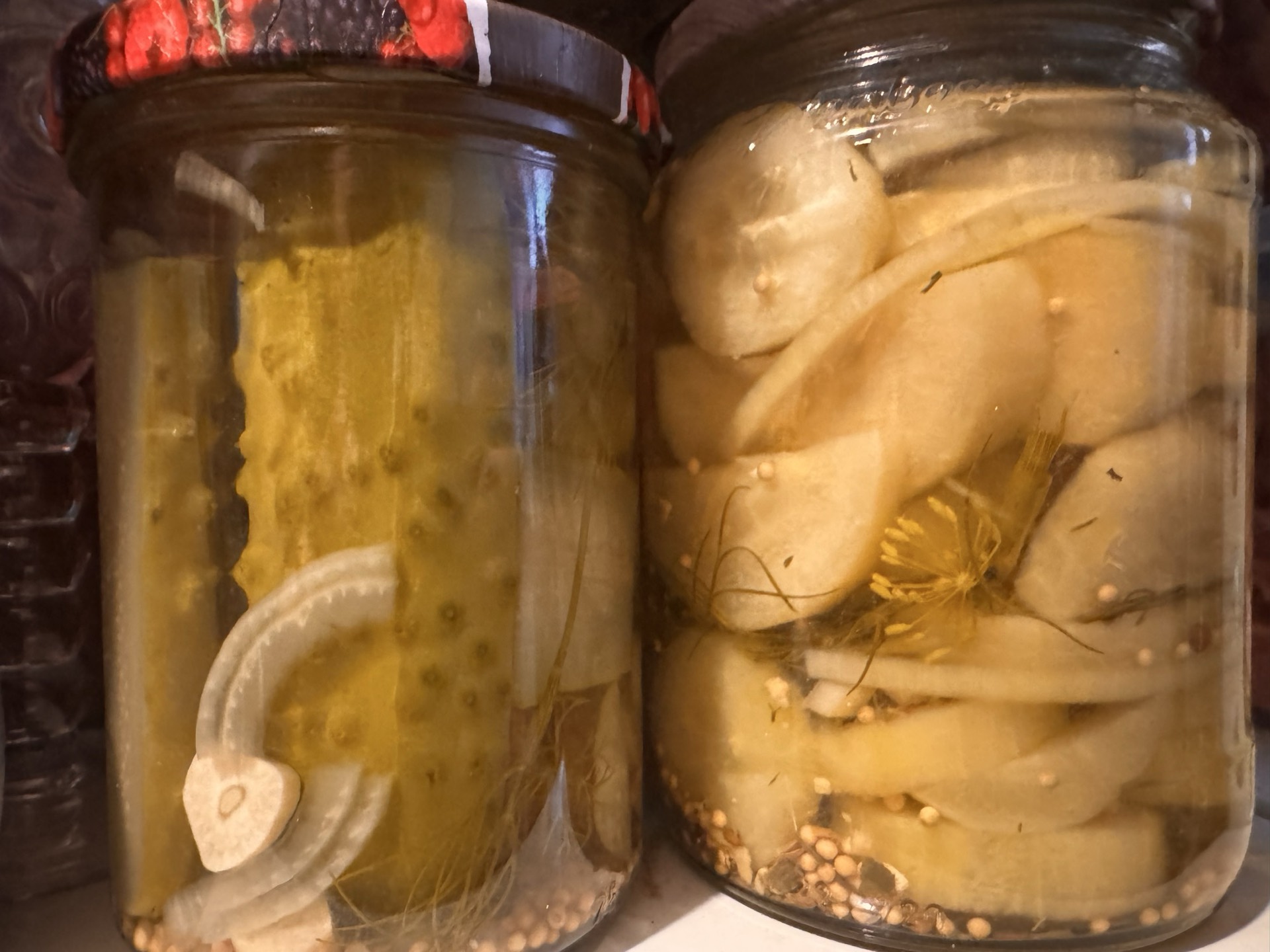 Gurken einlegen: Cornichons, Essiggurken & Gewürzgurken