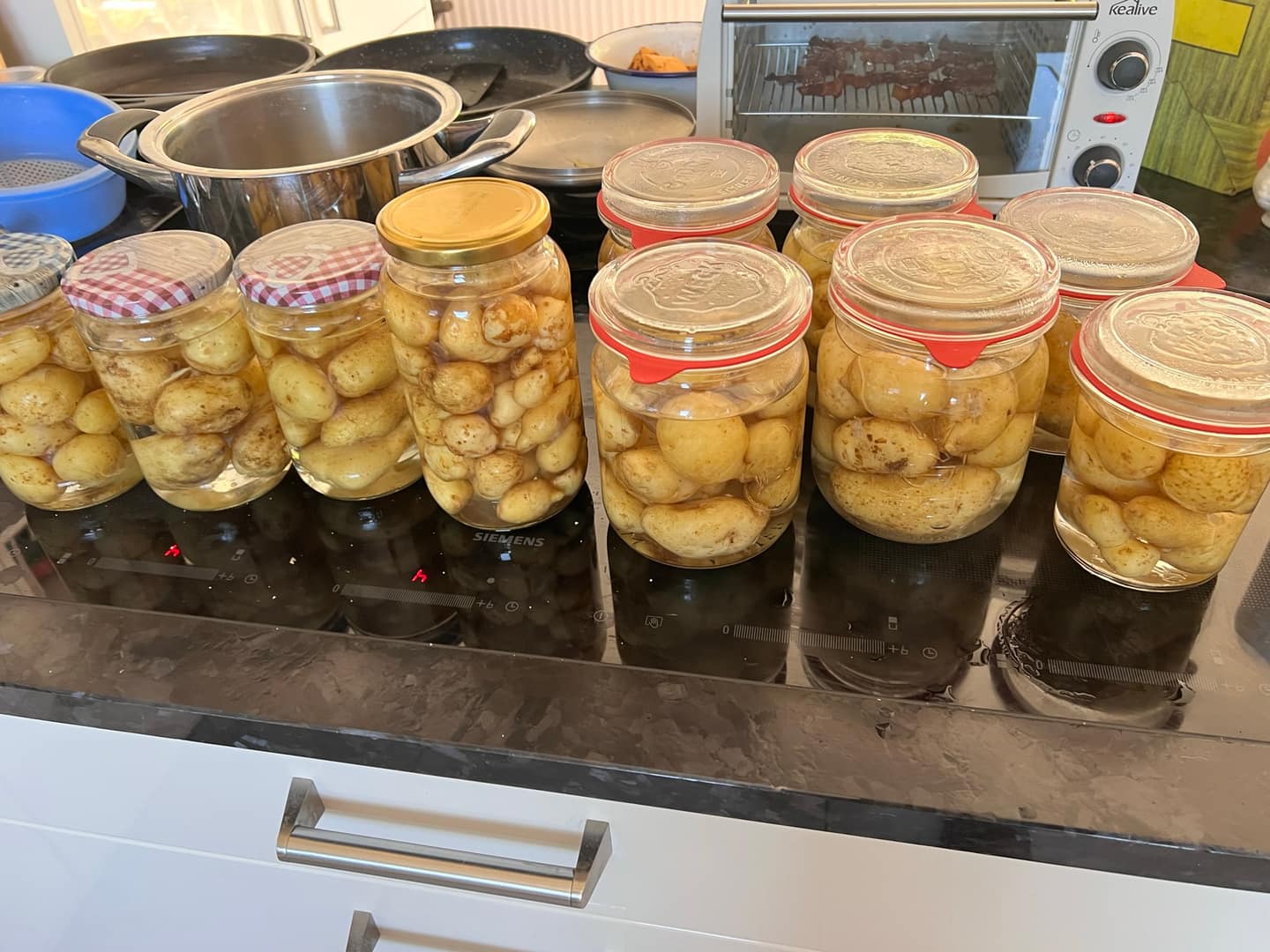 Kartoffeln anbauen, ernten & lagern