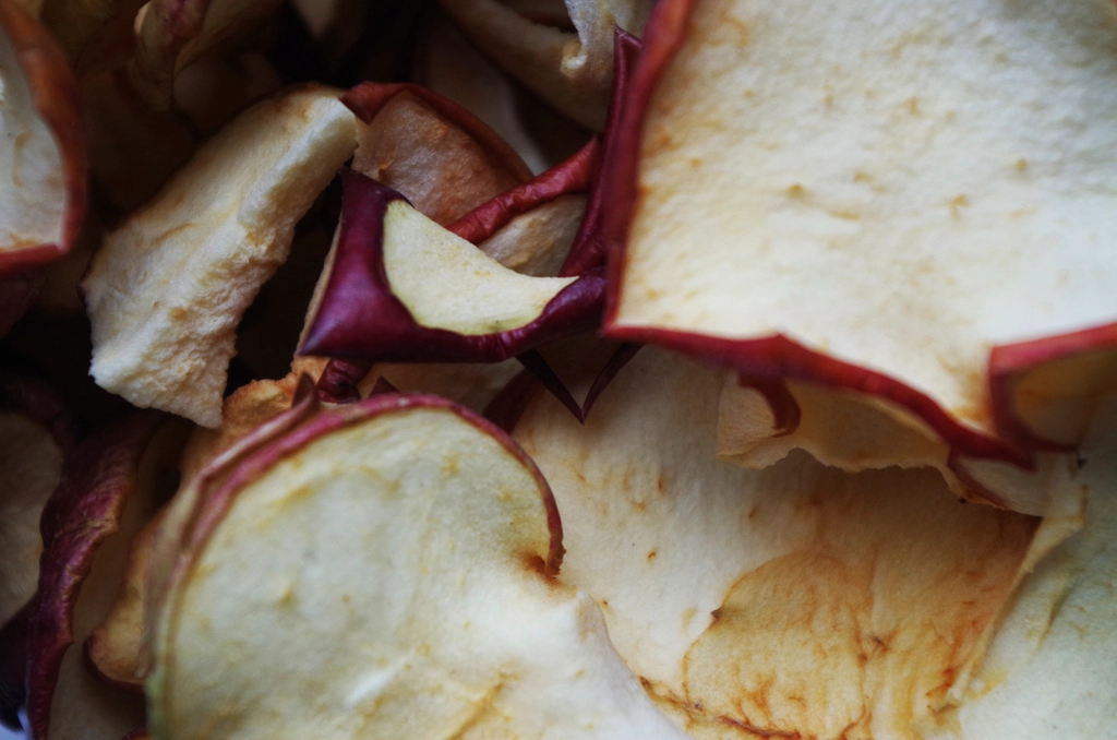 Obst dörren: Apfelringe, Birnenchips & Fruchtleder