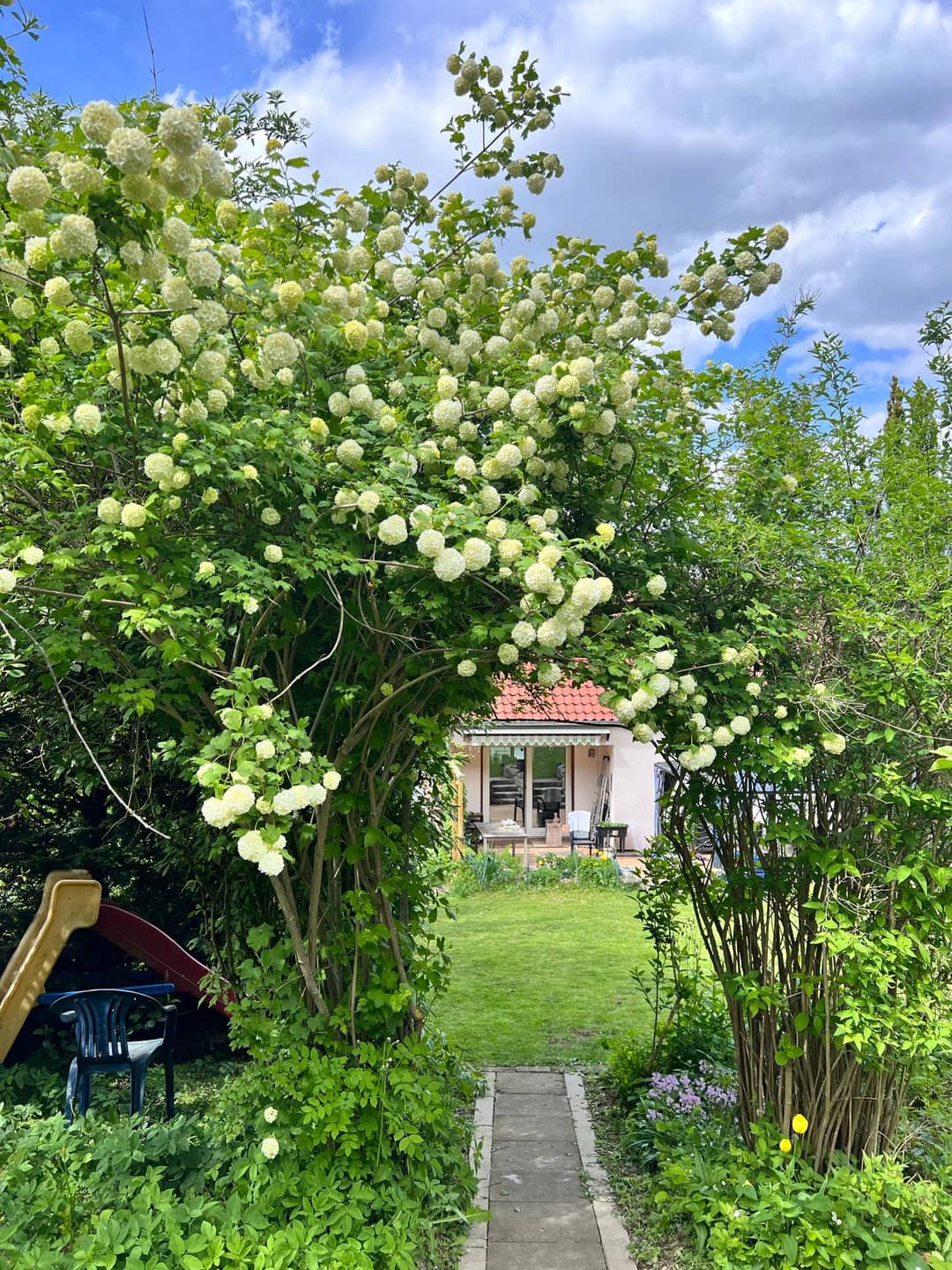 Obstgarten anlegen: Apfel, Birne, Kirsche & Co. im eigenen Garten
