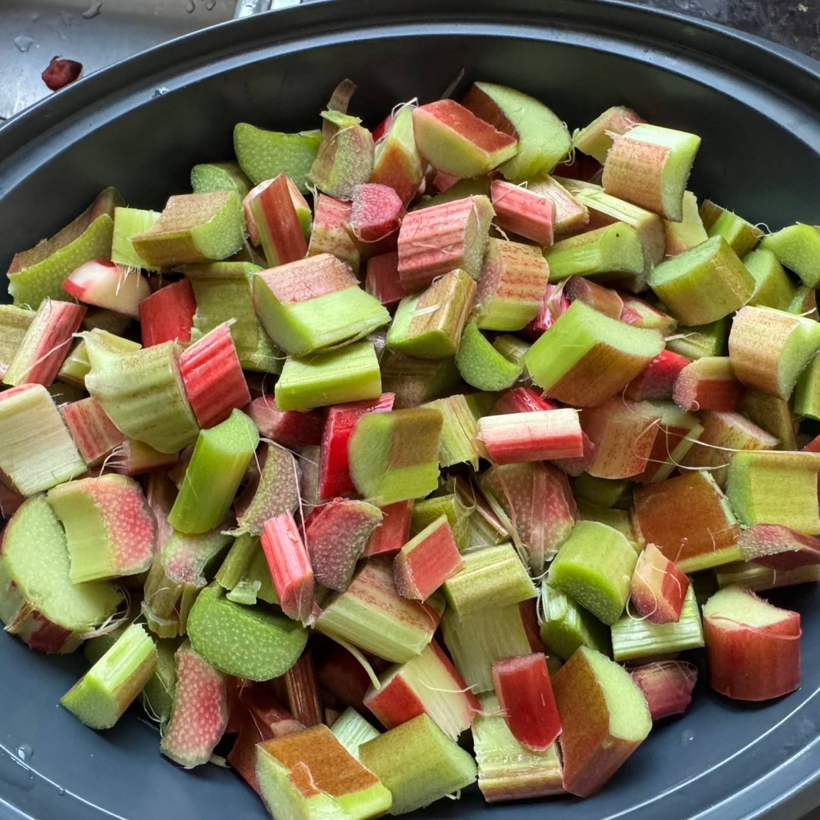 Rhabarber: der Frühlingsbote im Staudenbeet