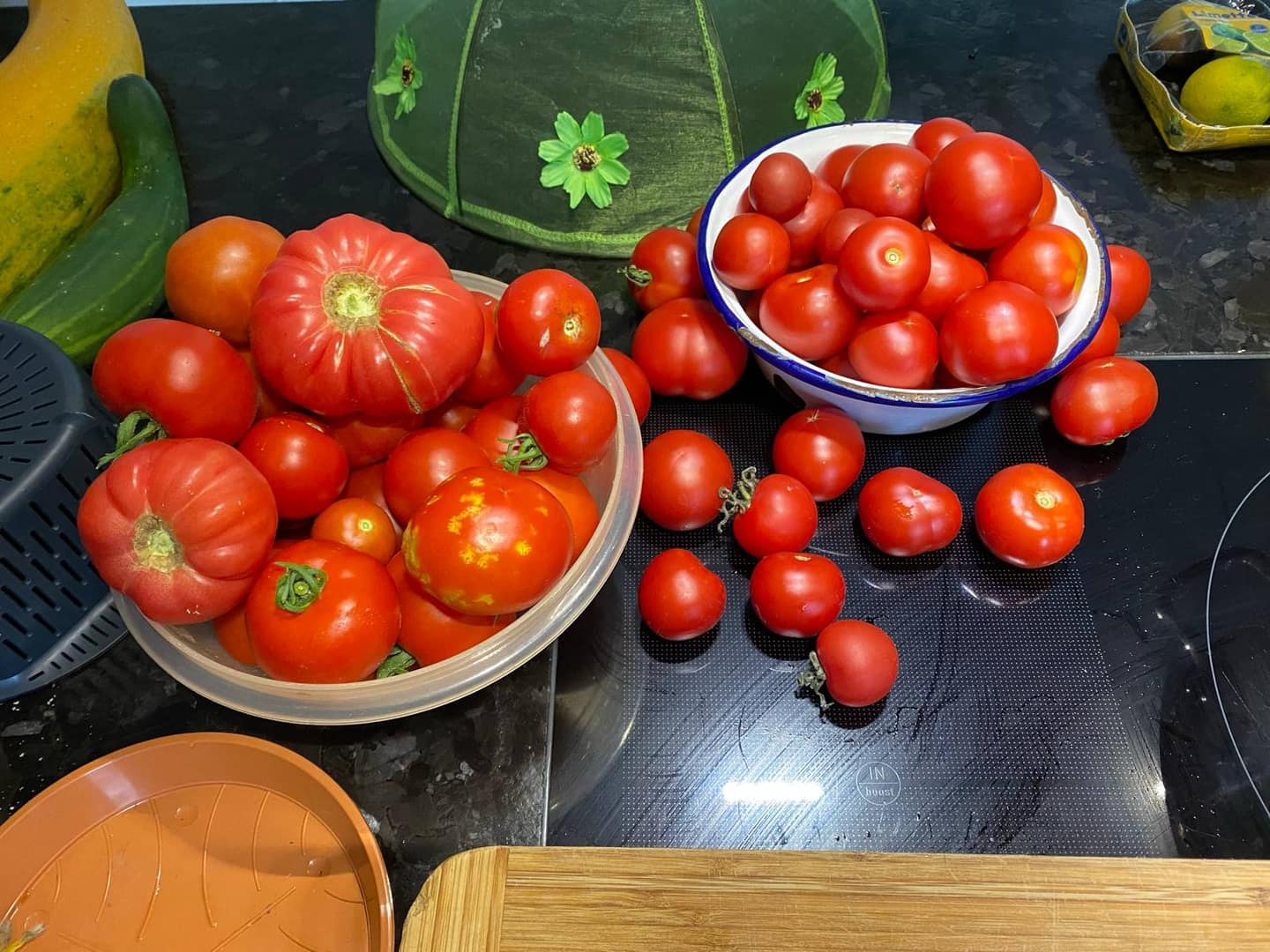 Tomaten anbauen: Von der Aussaat bis zur reichen Ernte