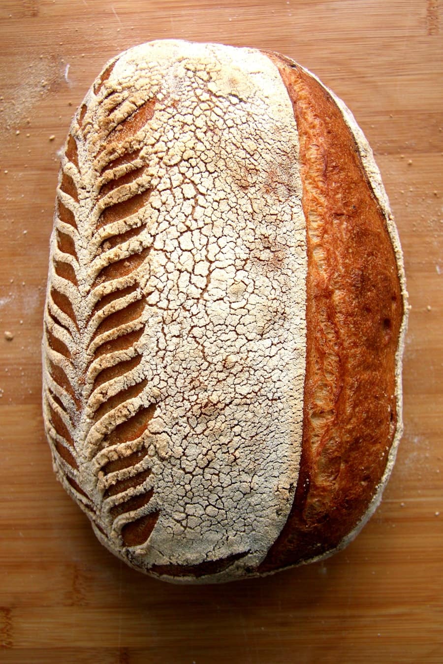 Typische Fehler beim Brotbacken