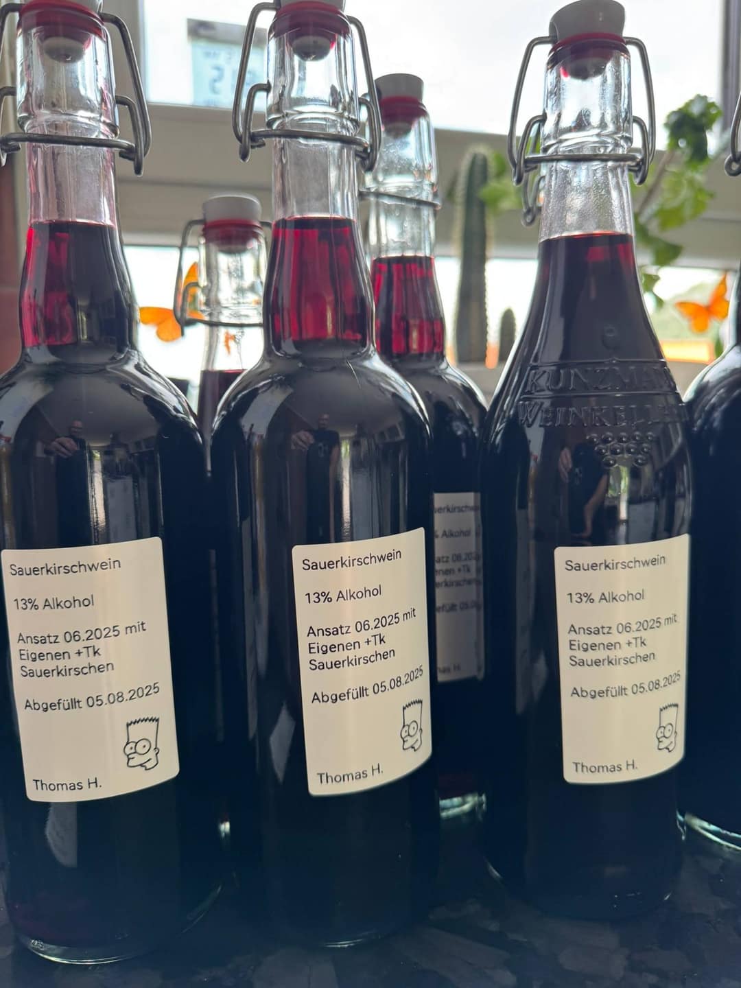 Wein klären, filtern & abfüllen: Der letzte Schritt zum fertigen Wein