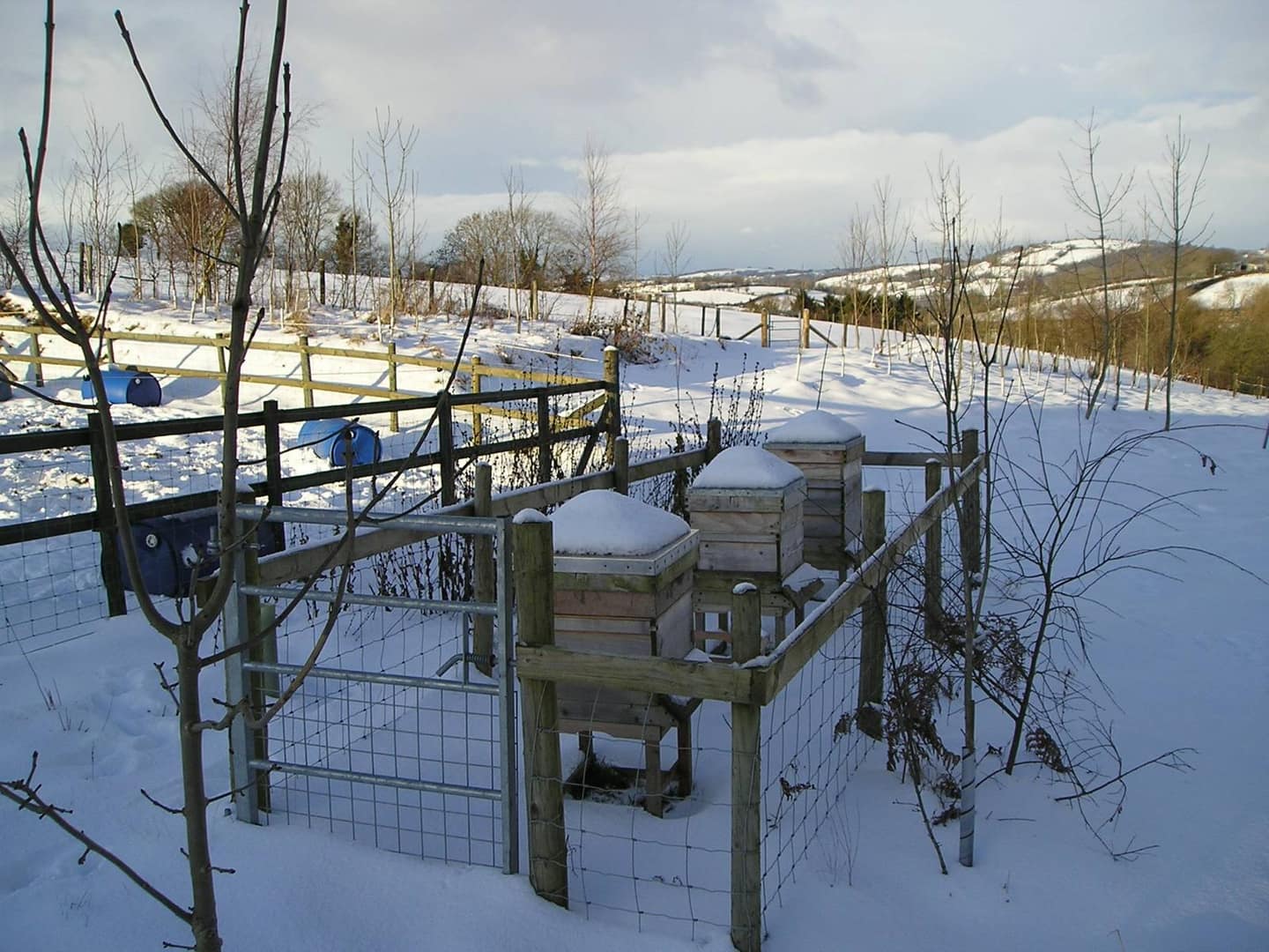 Winterkontrolle: Was tun wenn es kalt wird?